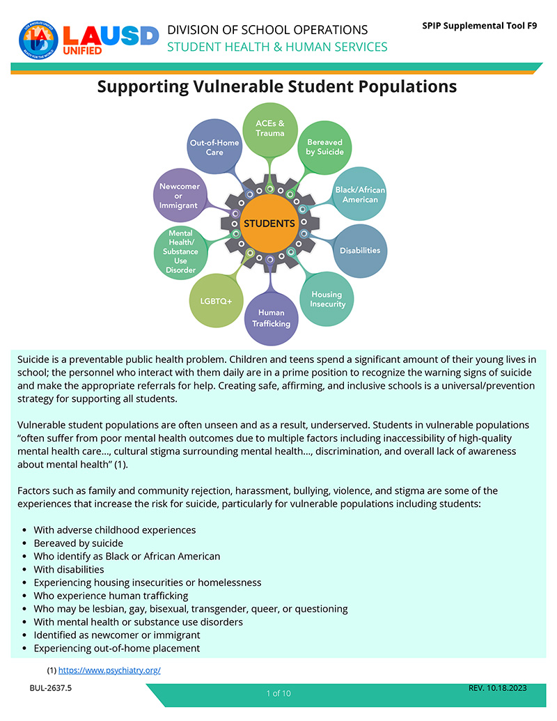 Supporting Vulnerable Student Populations